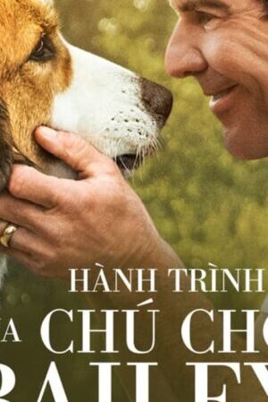 Xem phim Hành Trình Của Chú Chó Bailey - A Dogs Journey (2019)