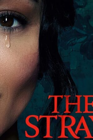 Xem phim Kẻ Lạc Đường  - The Strays (2023)