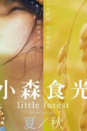 Xem phim Khu Rừng Nhỏ HạThu  - Little Forest SummerAutumn (2014)