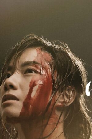 Xem phim Không Thủ Đạo  - The Empty Hands (2017)