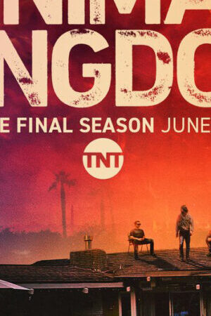 Xem phim Vương quốc động vật ( 6) - Animal Kingdom (Season 6) (2022)