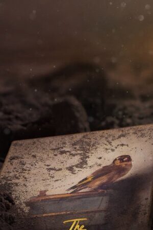 Xem phim Chim Vàng Oanh - The Goldfinch (2019)
