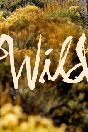 Xem phim Chuyến Phiêu Lưu Hoang Dã  - Wild (2014)
