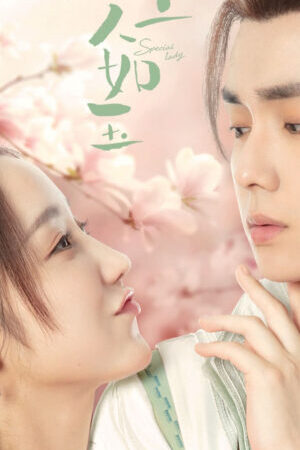 Xem phim Mạch Thượng Nhân Như Ngọc - Special Lady (2023)