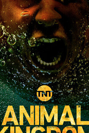 Xem phim Vương Quốc Động Vật ( 3) - Animal Kingdom (Season 3) (2018)