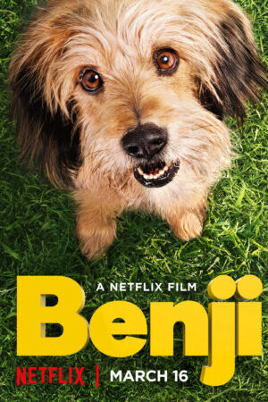 Xem phim Benji - Benji (2018)