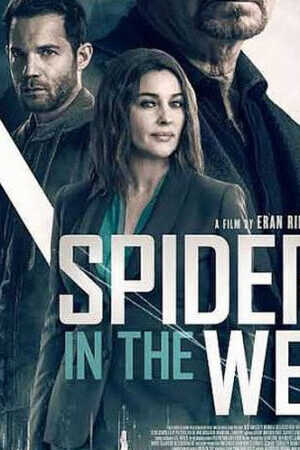 Xem phim Nhện Trong Mạng - Spider In The Web (2019)