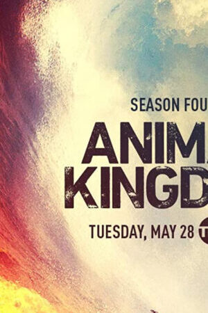 Xem phim Vương quốc động vật ( 4) - Animal Kingdom (Season 4) (2019)