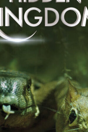 Xem phim Vương Quốc Bí Ẩn  - Hidden Kingdoms (2009)
