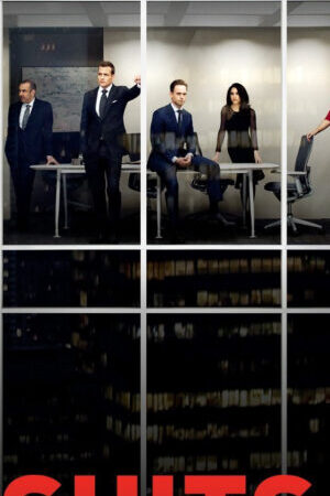 Xem phim Tố Tụng ( 5) - Suits (Season 5) (2015)
