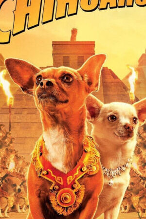 Xem phim Những Chú Chó Chihuahua - Beverly Hills Chihuahua (2008)