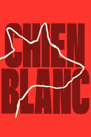 Xem phim Chú Chó Trắng - White Dog (2022)