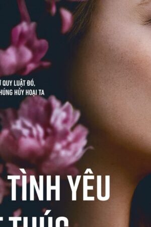 Xem phim Nơi Tình Yêu Kết Thúc  - It Ends With Us (2024)
