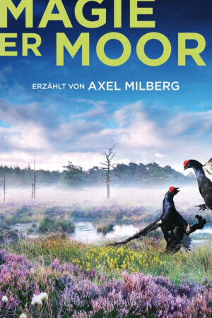 Xem phim Magie der Moore - Magie der Moore (2015)