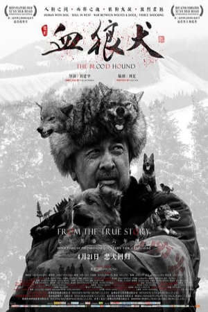 Xem phim Chú Chó Anh Dũng  - The Blood Hound (2017)