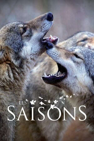 Xem phim Thiên Nhiên Và Nhân Loại - Seasons Les Saisons (2016)