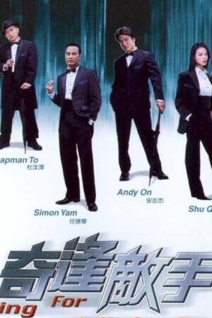 Xem phim Tình Cờ Gặp Kẻ Thù - Looking For Mister Perfect (2003)