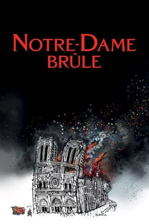 Xem phim Vụ Cháy Ở Pari - Notre Dame Brûle (2022)