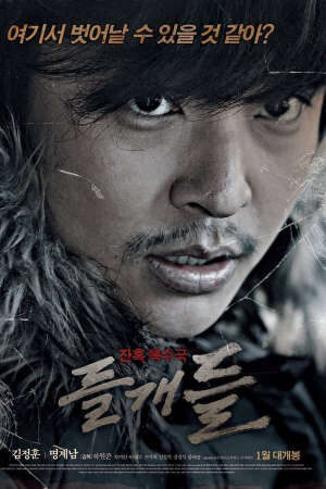 Xem phim Ngôi Làng Tội Lỗi - Stray Dogs (2014)