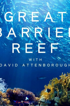Xem phim Khám Phá Rạn San Hô Great Barrier cùng David Attenborough - Great Barrier Reef with David Attenborough (2015)
