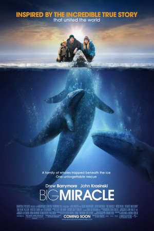 Xem phim Phép Màu (2012) - Big Miracle (2012)