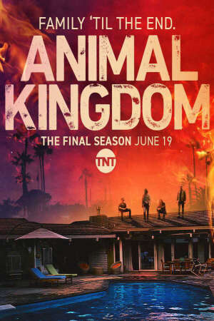 Xem phim Vương Quốc Tội Phạm ( 6) - Animal Kingdom (Season 6) (2022)