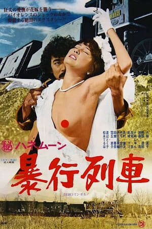 Xem phim Chuyến Tàu Hãm Hiếp  - Secret Honeymoon Rape Train (1977)