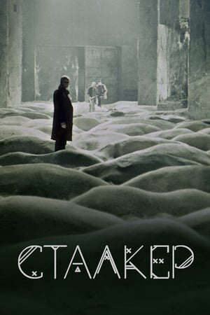 Xem phim Người Dẫn Đường (1979)  - Stalker (1979)