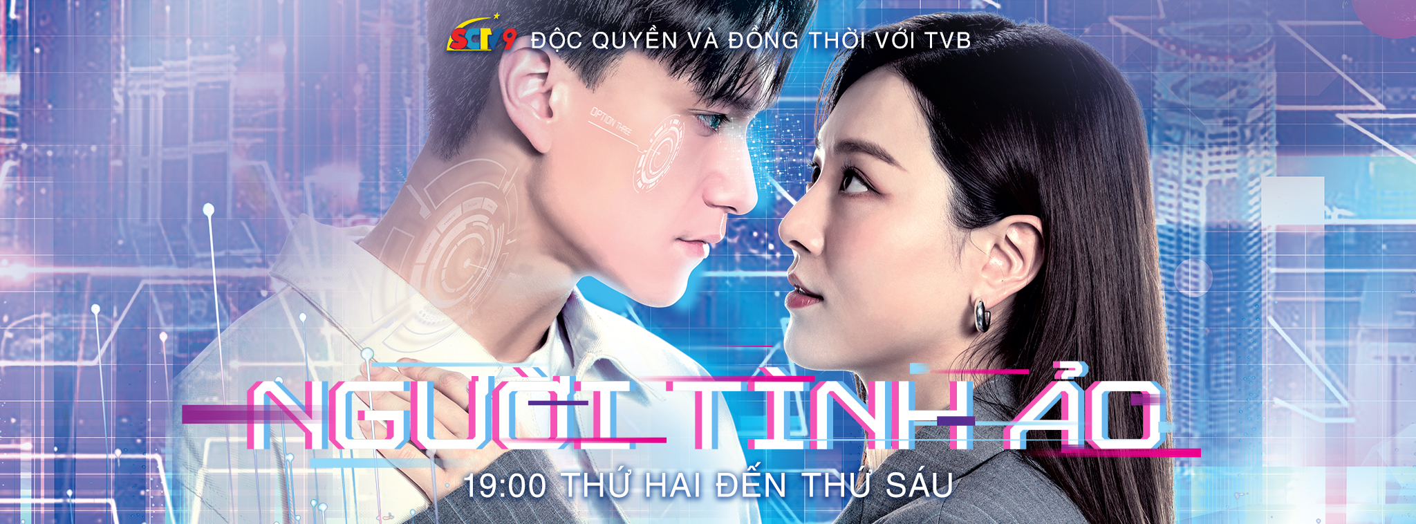 Poster of Người Tình Ảo