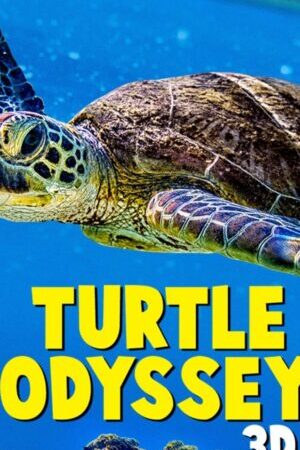 Xem phim Cuộc Phiêu Lưu Của Rùa  - Turtle Odyssey (2018)