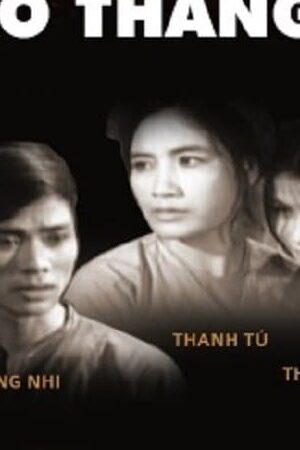 Xem phim Sao Tháng 8  - August Star (1977)