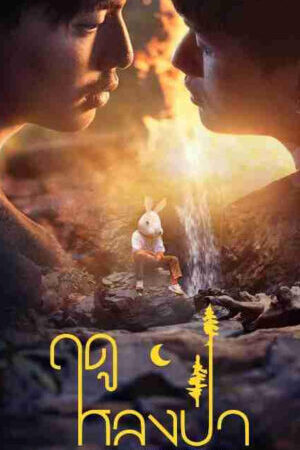 Xem phim Mùa Lạc Trong Rừng  - Lost In The Woods (2025)
