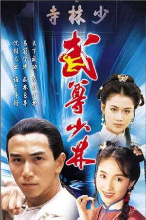 Xem phim Lò Võ Thiếu Lâm  - Heroes From Shaolin (1993)