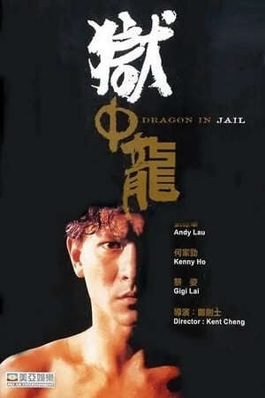 Xem phim Ngục Tù Mãnh Long  - Dragon in Jail (1990)
