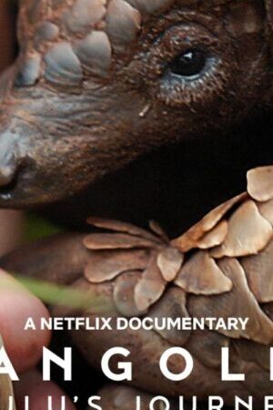 Xem phim Loài Tê Tê Hành Trình Của Kulu  - Pangolin Kulus Journey (2025)