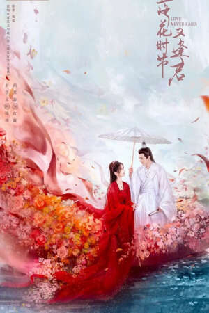 Xem phim Mùa Hoa Rơi Gặp Lại Chàng  - Love Never Fails (2025)